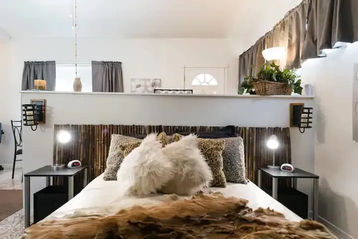 Pet-Friendly Studio Near the Airport