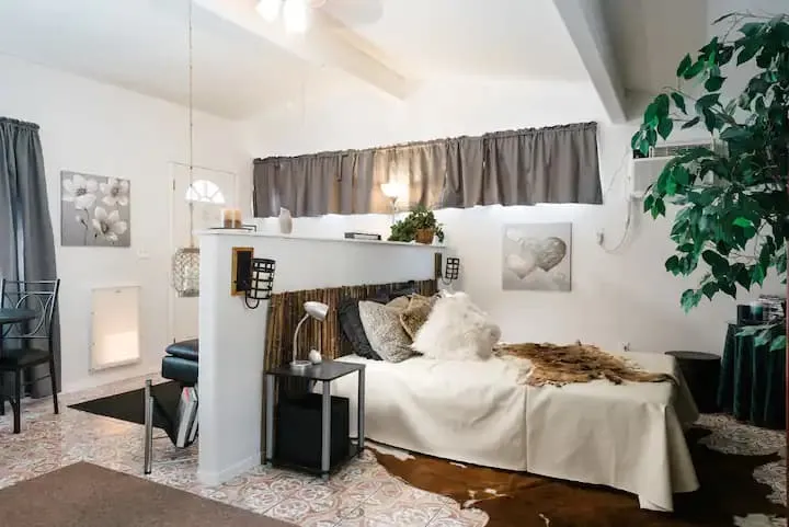 Pet-Friendly Studio Near the Airport