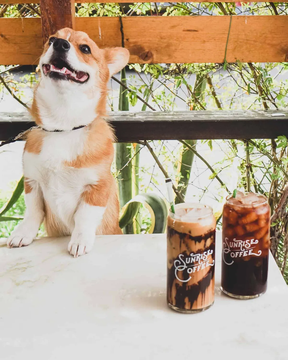 Sunrise Coffee