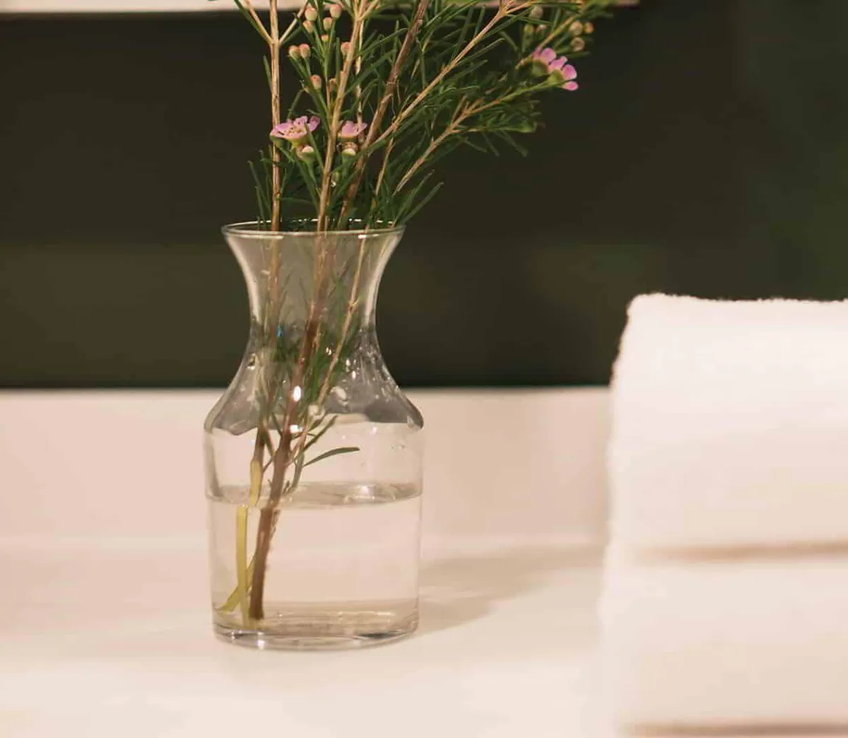 Fresh By Staywell