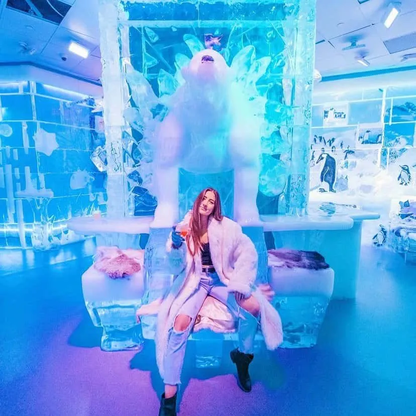 About Minus5 Ice Bar