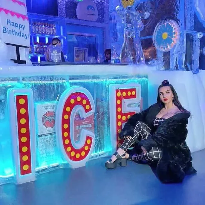 About Minus5 Ice Bar