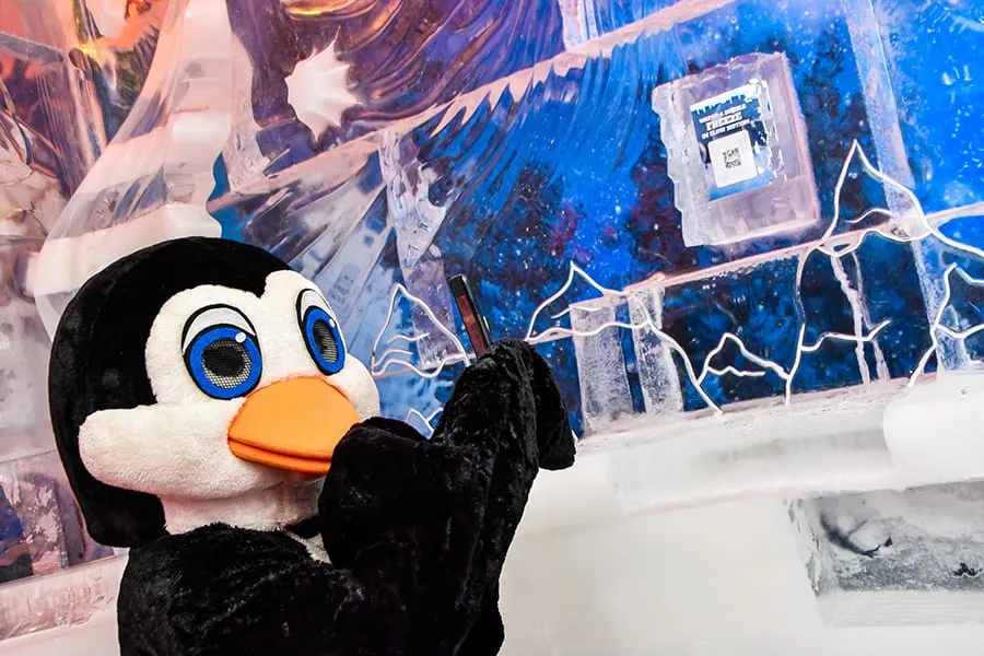 Minus5 Ice Bar Attractions 