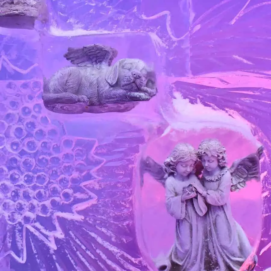 Minus5 Ice Bar Attractions 