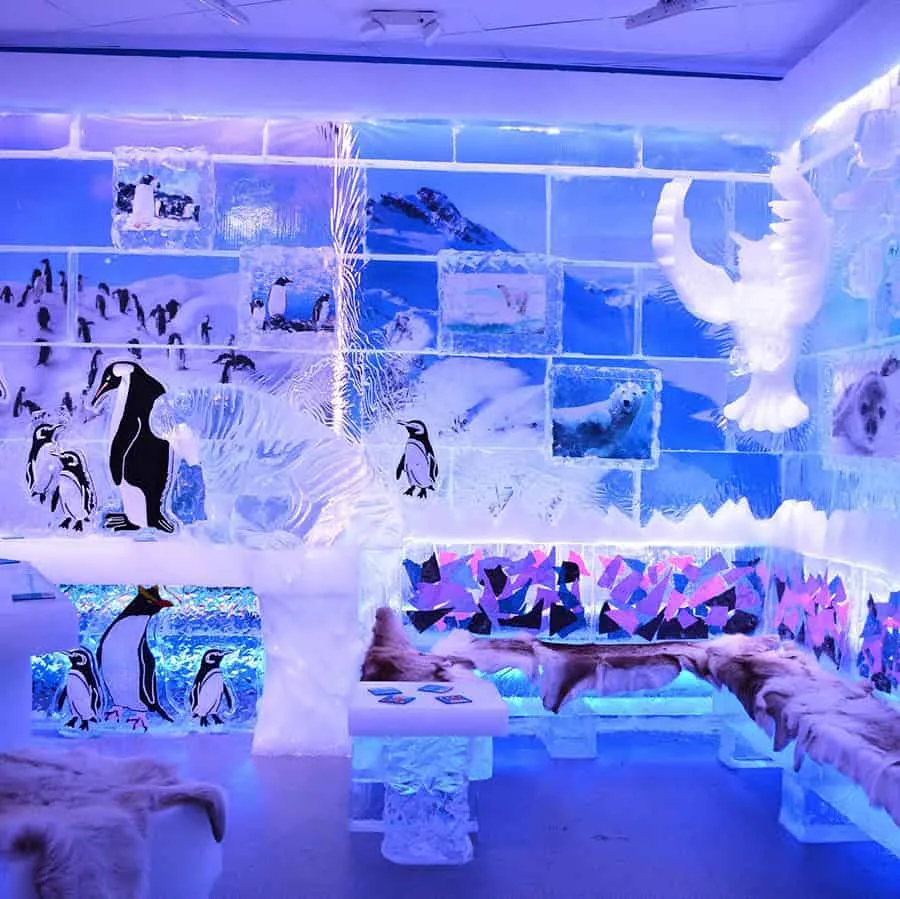 Minus5 Ice Bar Attractions 
