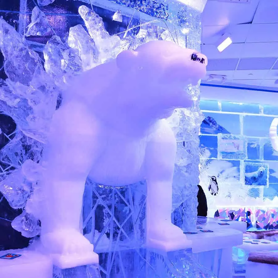 Minus5 Ice Bar Attractions 