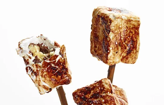 FROZEN S’MORES