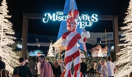 Live Entertainment at Enchant Christmas
