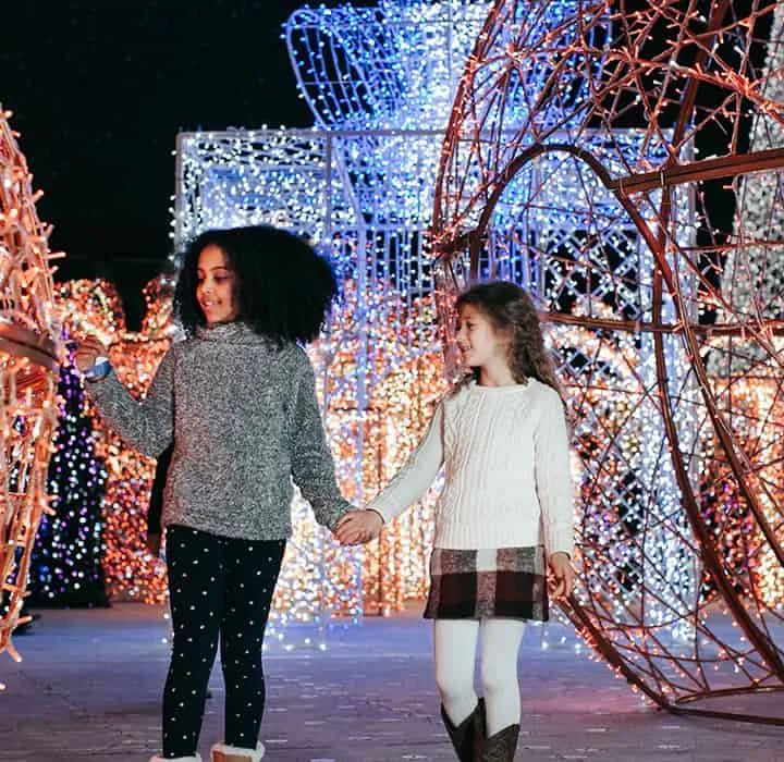 Largest Christmas Light Maze