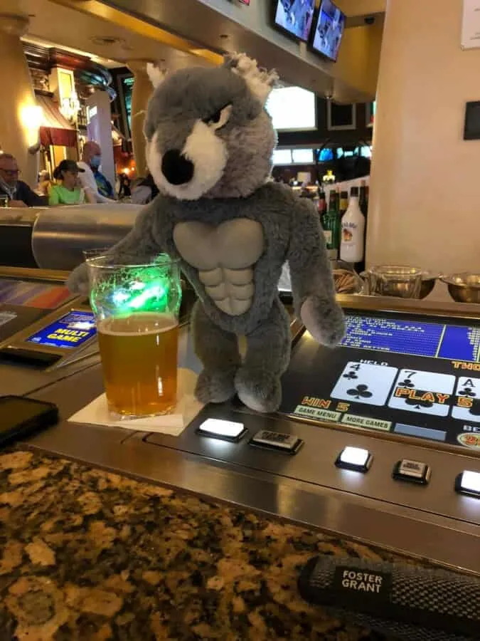 Coyote Drinking at Bellagio Sportsbook