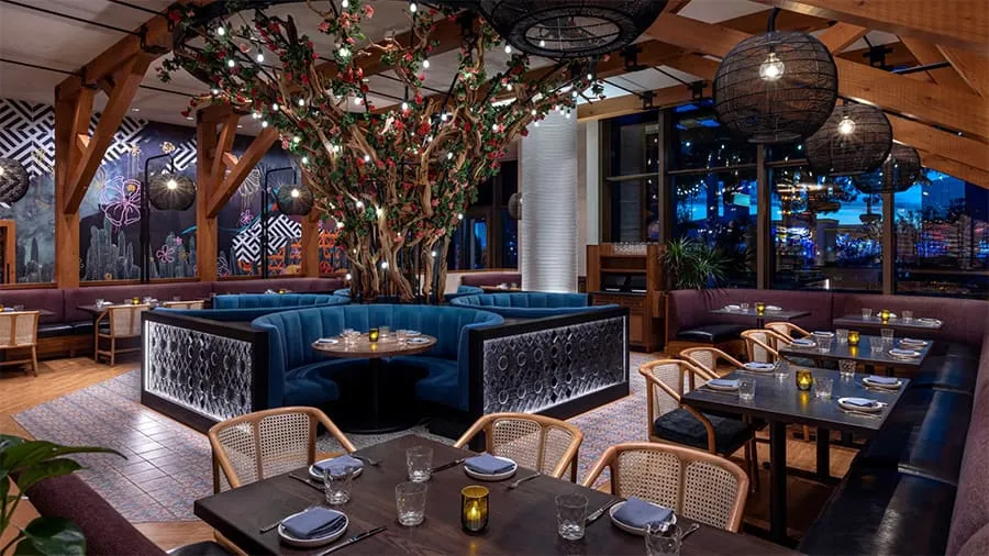 Dining & Entertainment 