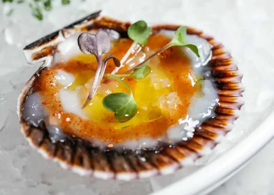Taylor Bay Scallop