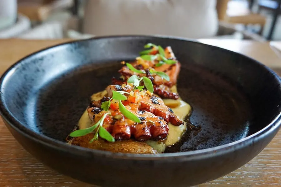 charred Spanish octopus