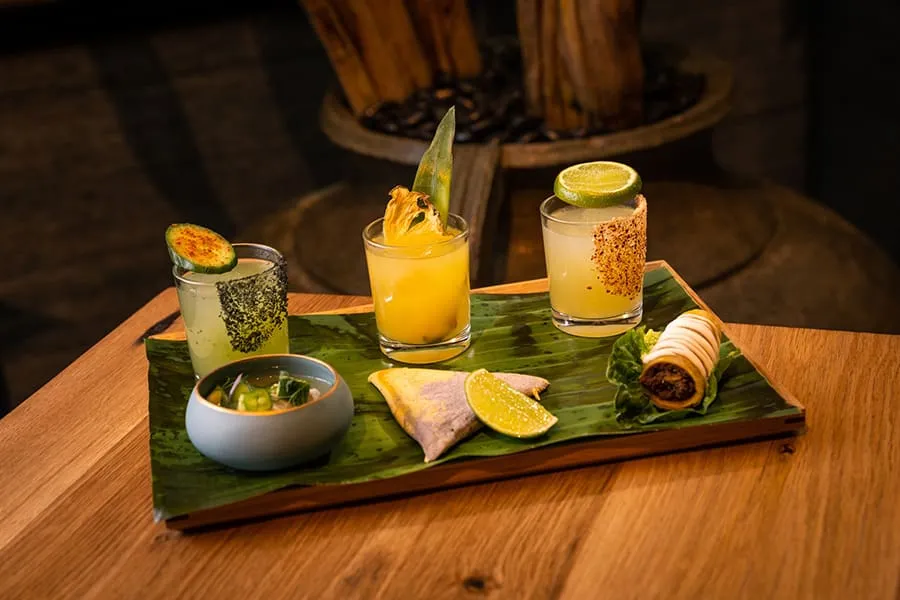 Cocktails at Casa Playa
