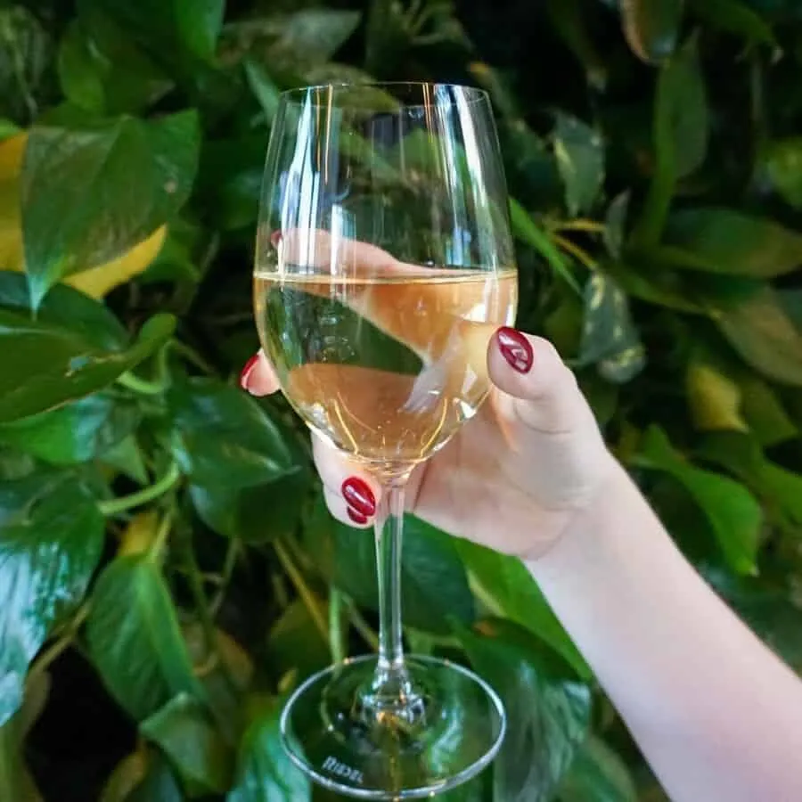 Wine at La Cave