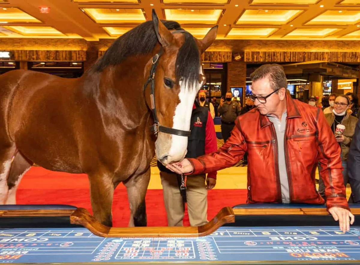 Scott Sibella Resorts World CEO