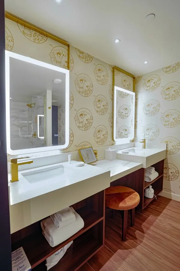 Single King room bathroom