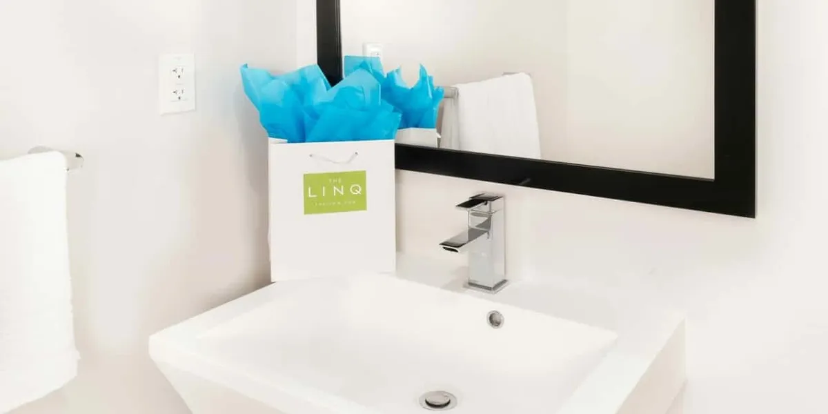 Deluxe Queen Suite Bathroom
