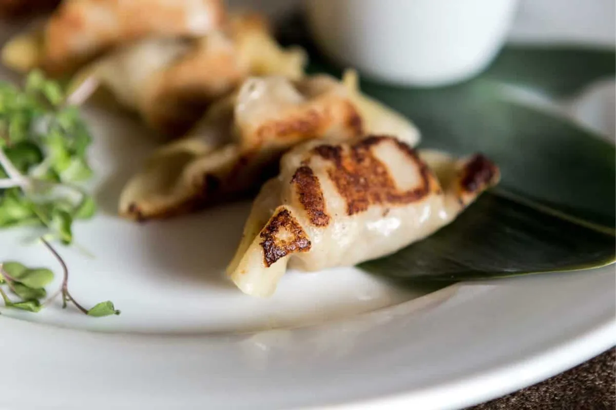 Kobe Beef Potstickers