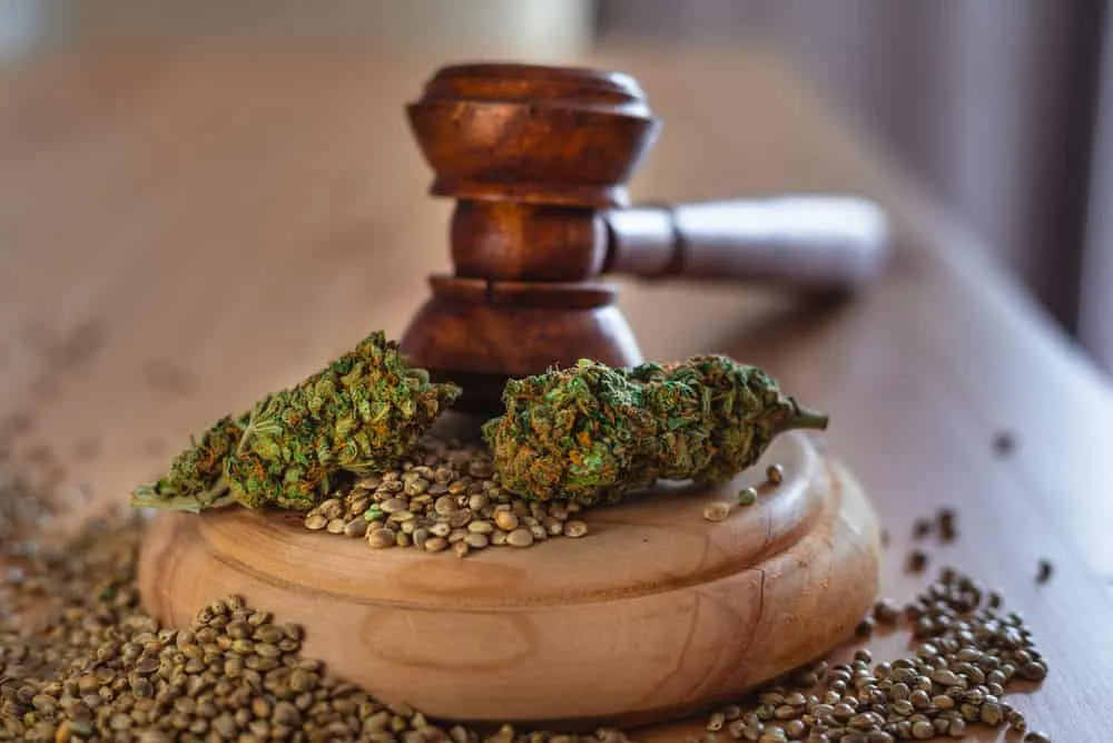 Las Vegas Cannabis Laws