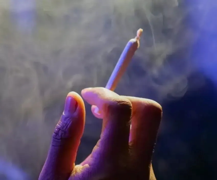 Nevada Made Marijuana Weed