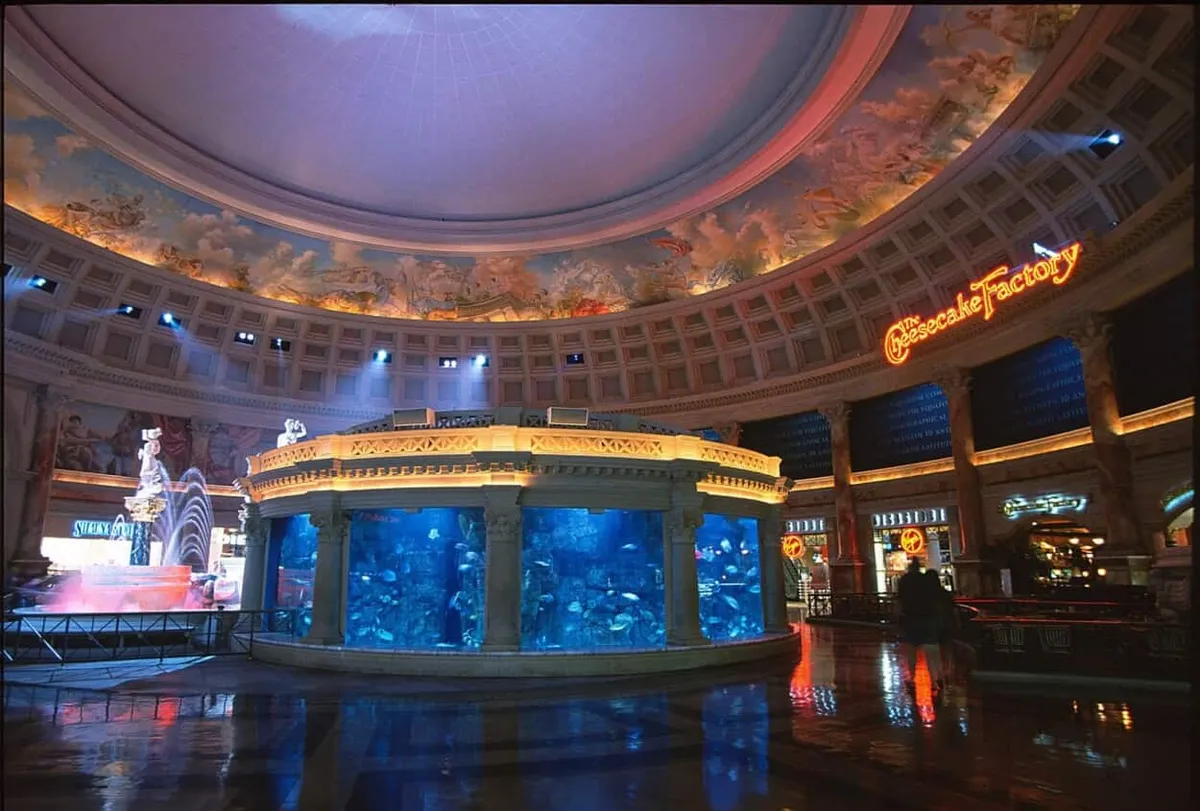 Aquarium at Forum Shop