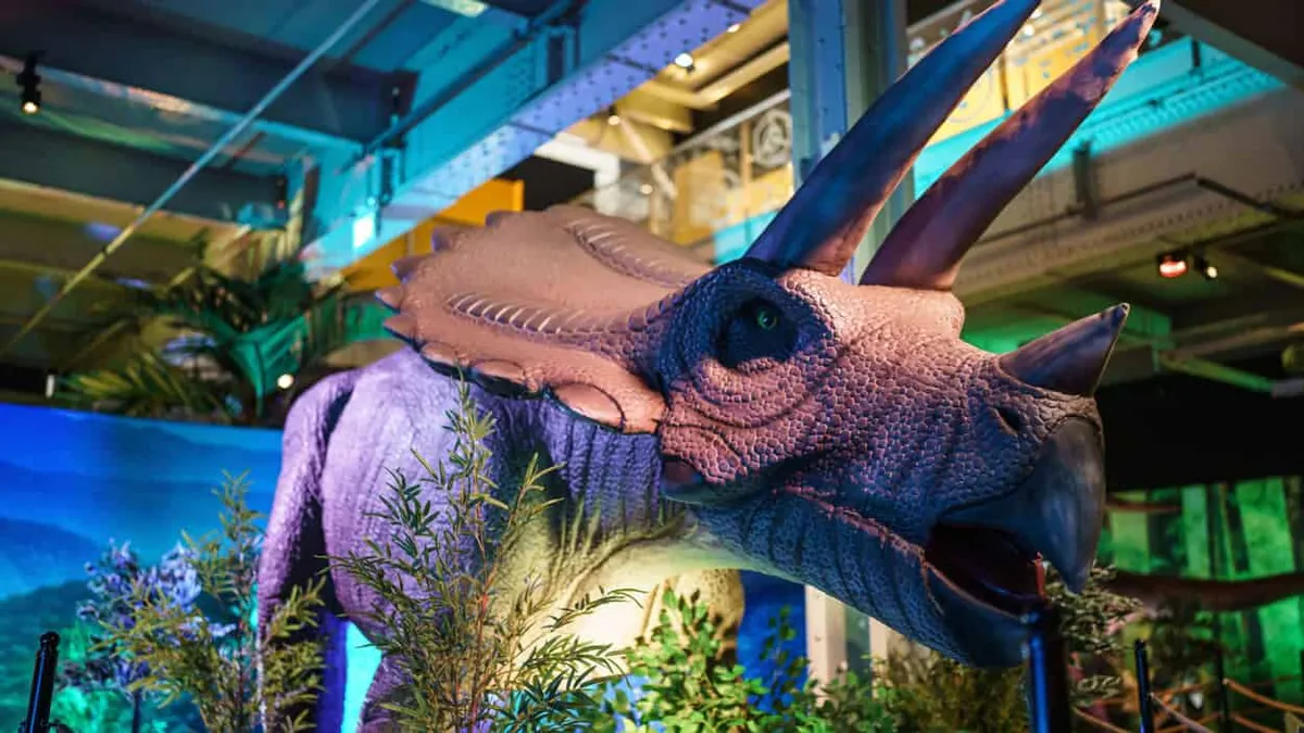 Dino Safari
