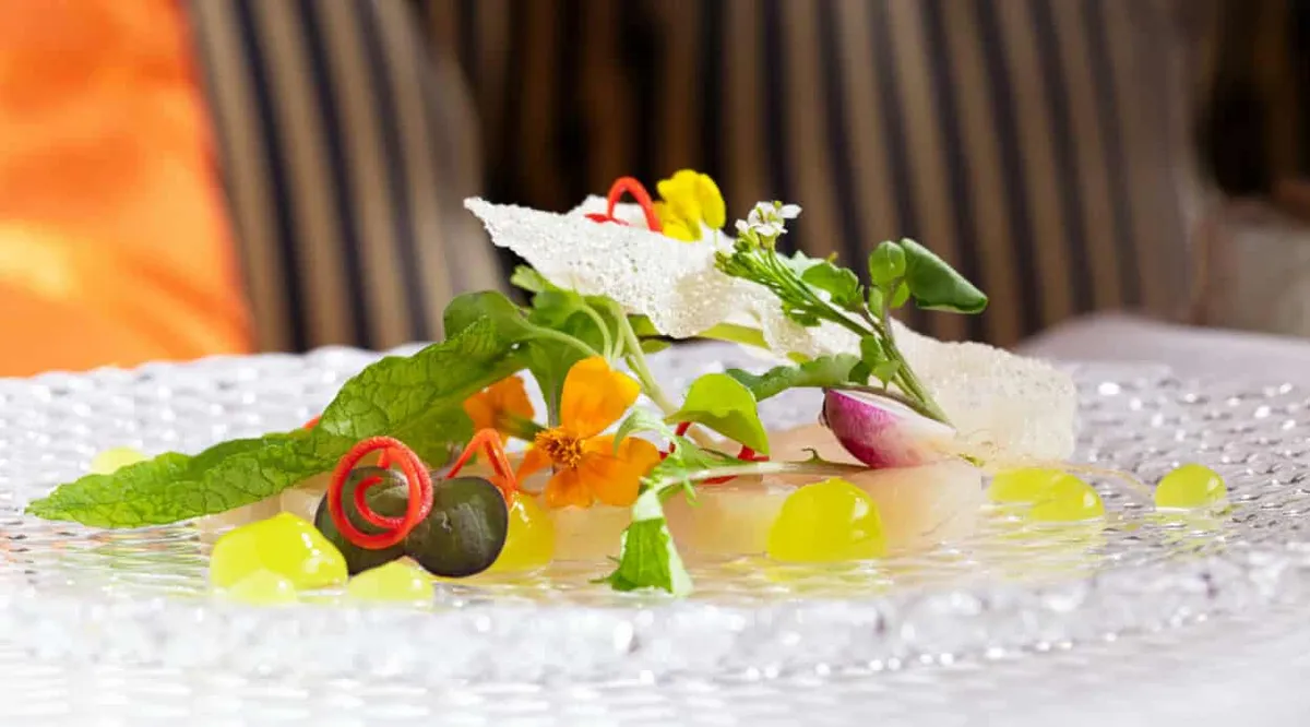 Hawaiian Kampachi