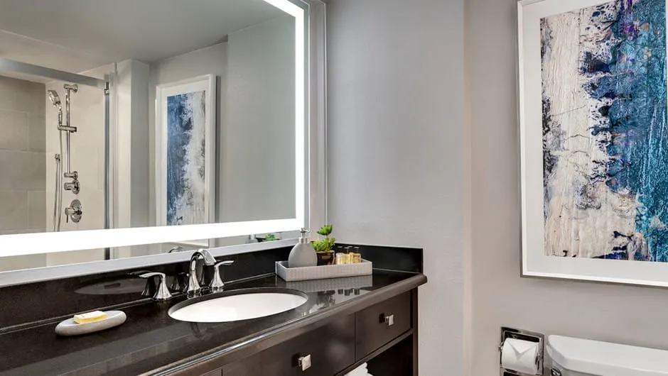 Luxe King Room Bathroom