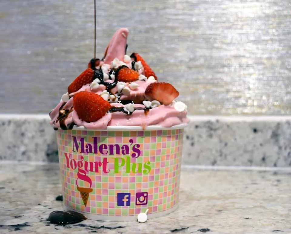 Malena's Yogurt Plus 