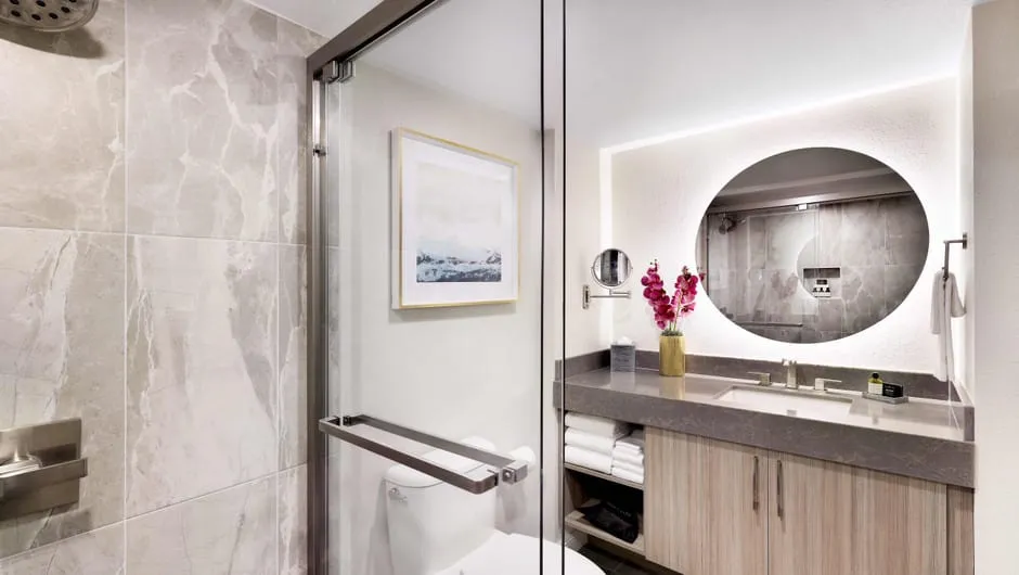 Premier Room Bathroom