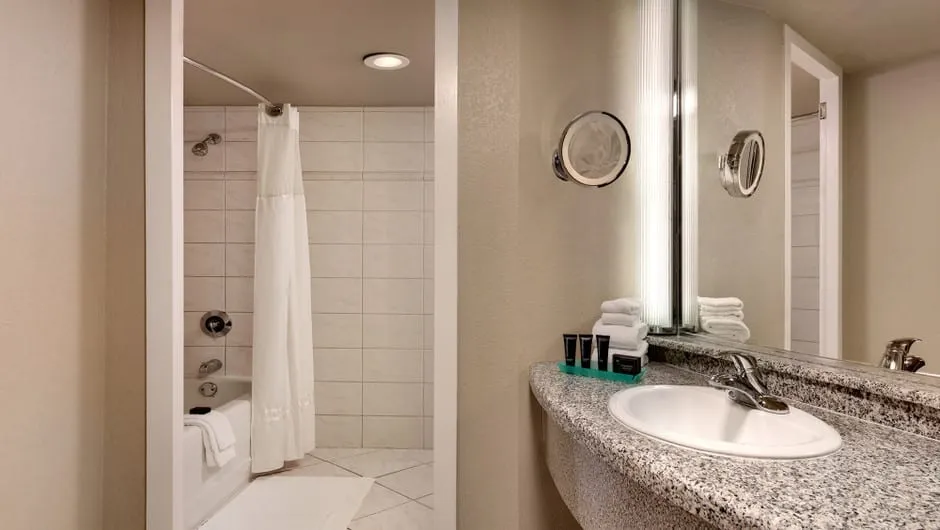 Signature King Room Bathroom