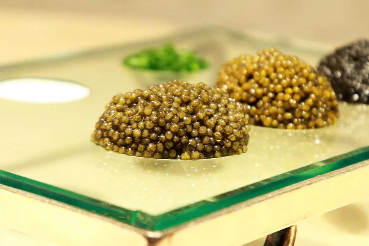 Caviar Bar Dish