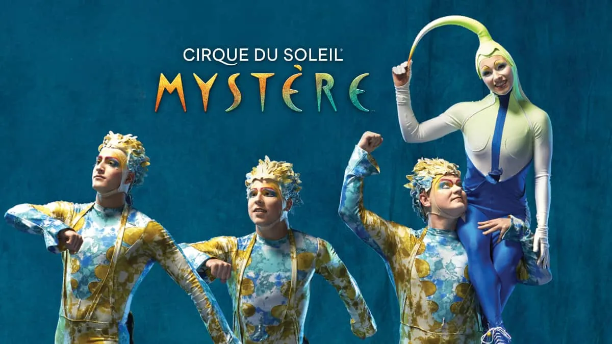Mystere Cirque du Soleil: Treasure Island Show