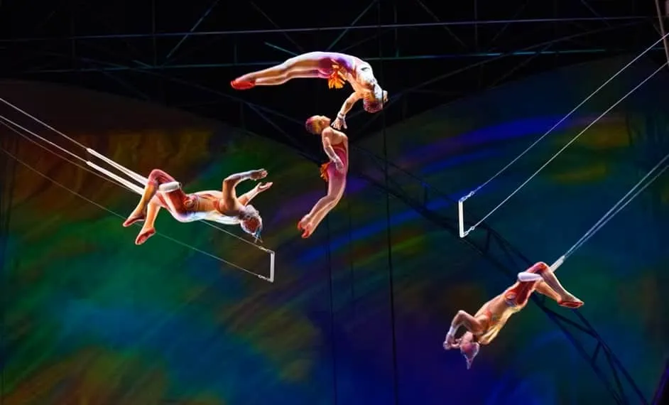Our Acrobats Take Flight
