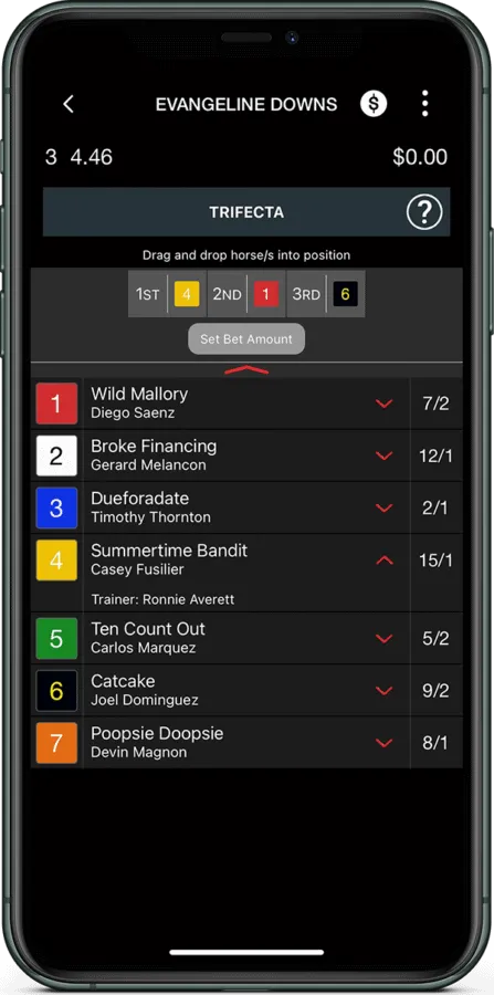 STN Sports App Horese Racing Betting