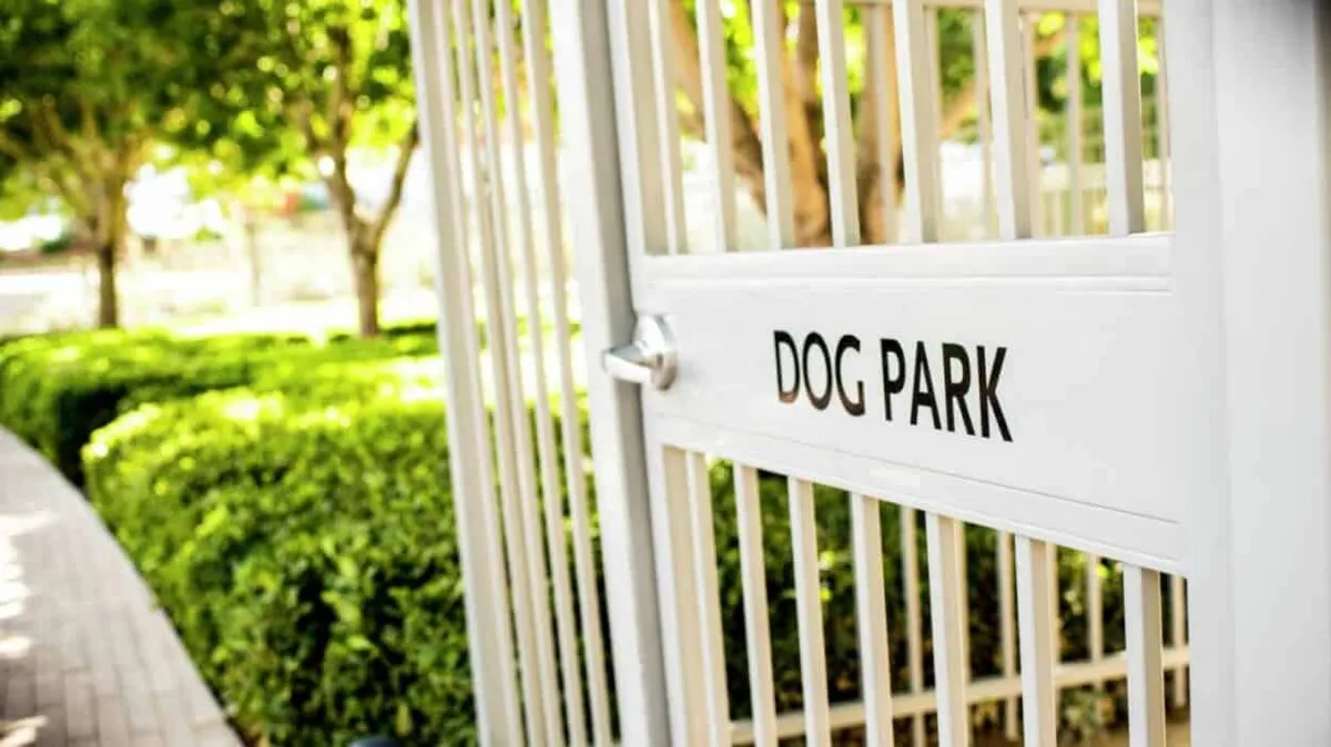 Studio V Dog Park Entrance