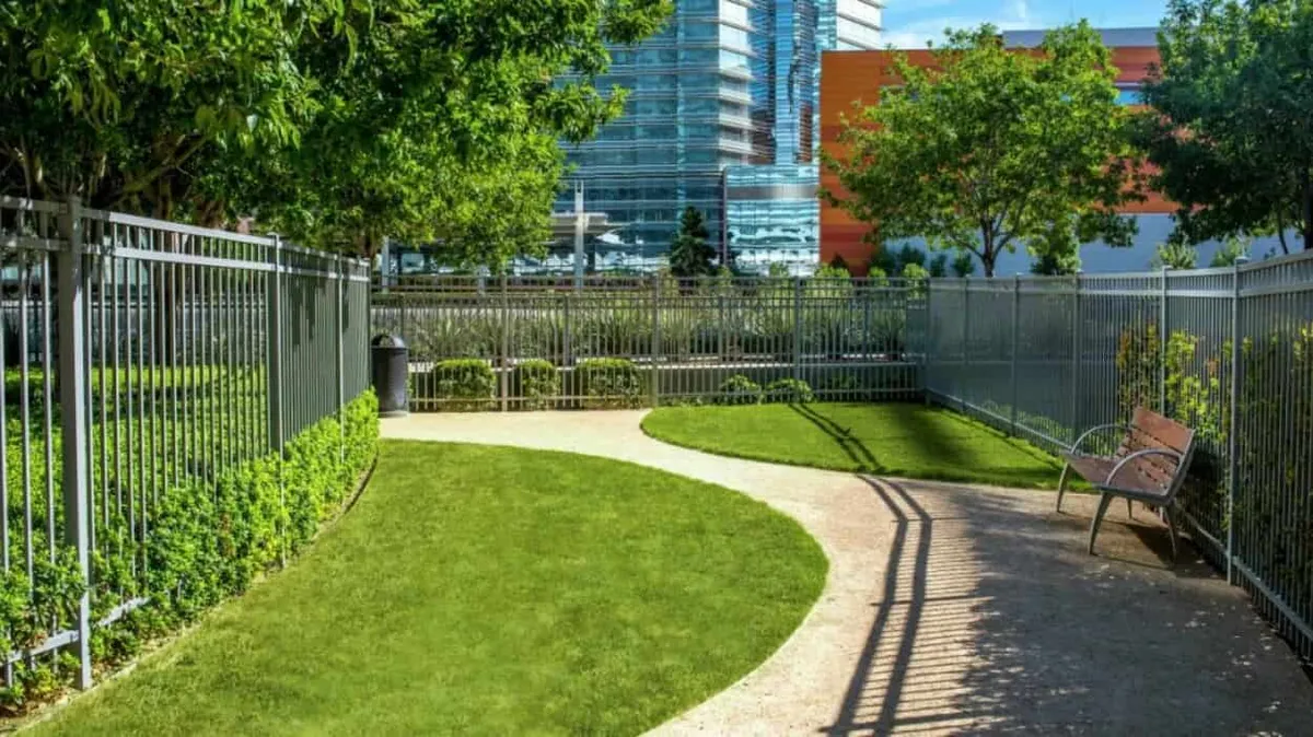 Studio V Dog Park