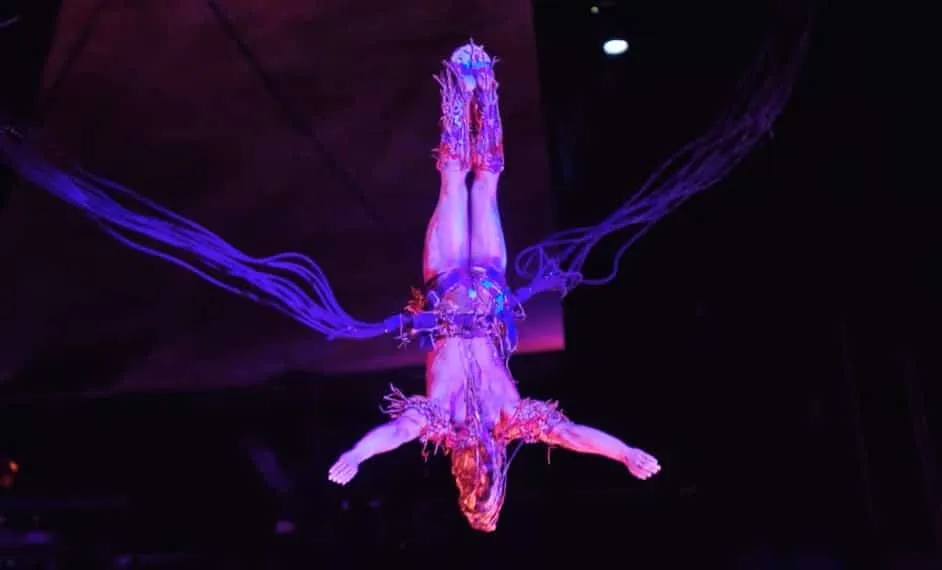 Mystere Acrobatics
