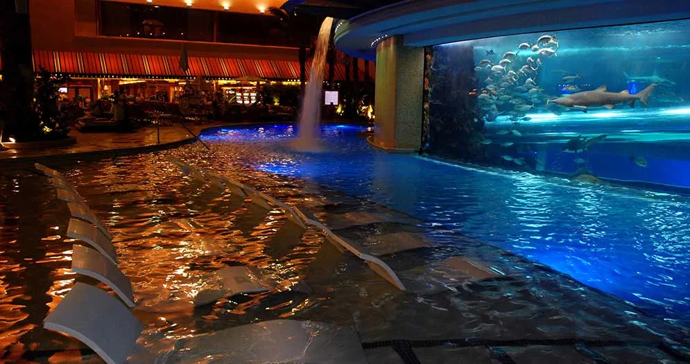 lounge chair at Shark Tank Pool