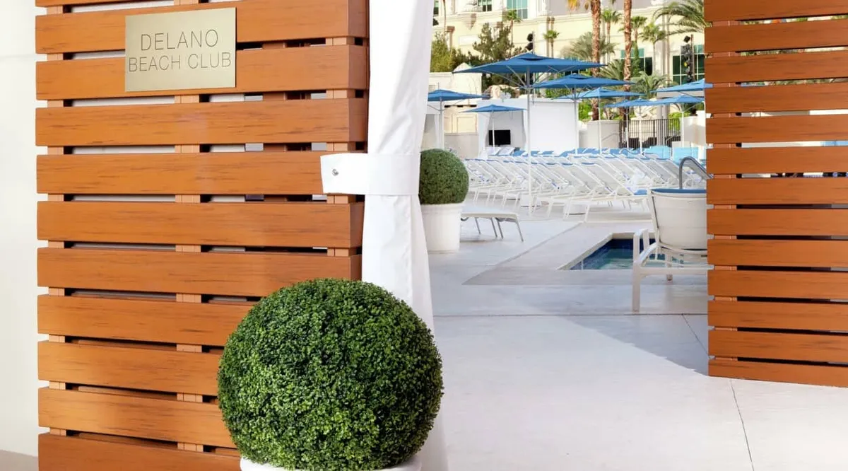 luxurious pool club