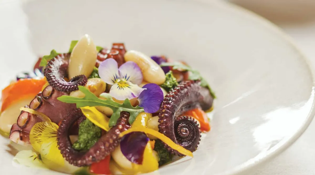 Grilled Octopus